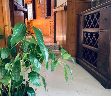 Ubiarco Apartment | Top-Rated Casa de la Media Borona - Pet & Child Friendly Stay