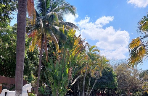 Yautepec Hotel | Casa de la O
