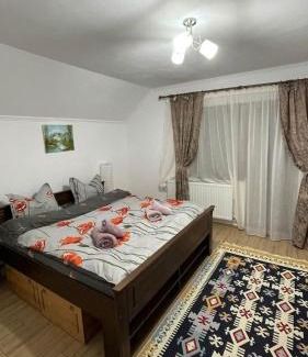 Cristian House | Discover Child-Friendly Comfort at Casa de la râu