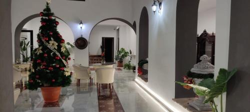 Palma del Rio Bed & Breakfast | Discover CASA DE LA SEÑORA: Guest Rated 9.8 & Ocean Views