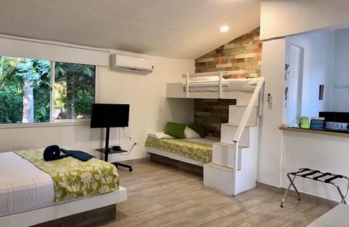 Punta Sur Hotel | Experience Casa de las Flores Tropical with Ocean Views