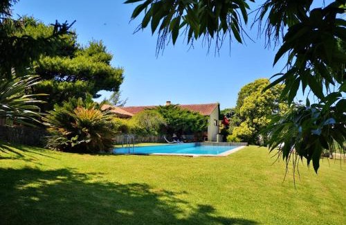 Barcelos House | Explore Casa de Levandeiras: 4-Star Pet-Friendly Retreat
