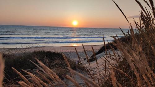 Barcelos House | Explore Casa de Levandeiras: 4-Star Pet-Friendly Retreat