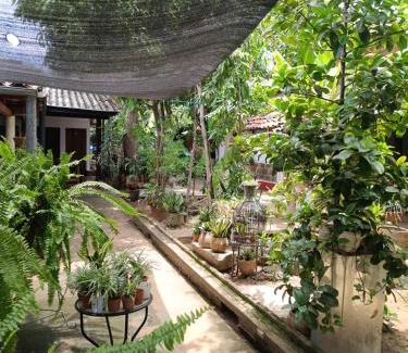 Leon Hotel | Budget-Friendly Casa de Los Berrios: Pet & Child Friendly Stay
