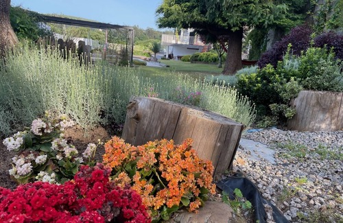 Vigo Ski Chalet | Exceptional Casa de los Cactus: Pool, Pet-Friendly Oasis