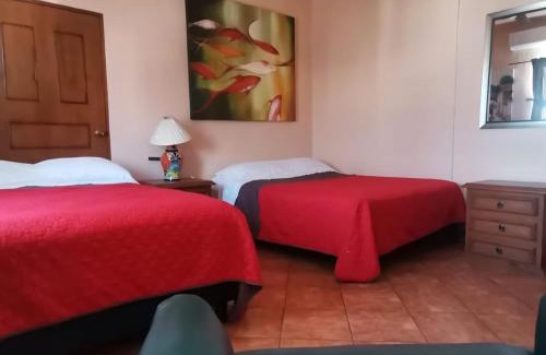 Downtown Mazatlan House | Pet Friendly Retreat at Casa de los Sueños - Rated 9.9/10