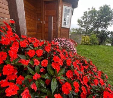 Lavras Novas Ski Chalet | Kid-Friendly Retreat at Casa de Madeira in Lavras Novas