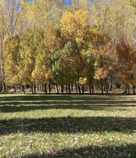 Uspallata Ski Chalet | Family-Friendly Casa de Montaña Uspallata in Mendoza