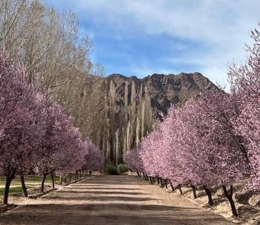 Uspallata Ski Chalet | Family-Friendly Casa de Montaña Uspallata in Mendoza