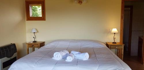 Angostura Ski Chalet | Scenic Lakeview Retreat with Family and Pet-Friendly Amenities