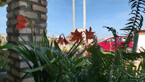 Sao Miguel de Touros House | Pet-Friendly Casa de Praia Toca da Onça - Rated 9.3/10