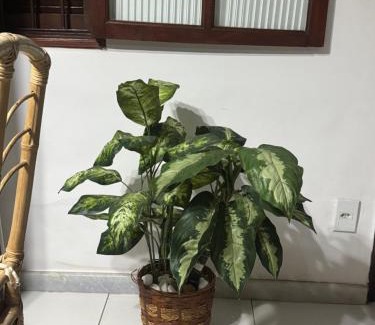 Palmeiras House | Relaxing Casa de Praia with Pool and Pet-Friendly Amenities