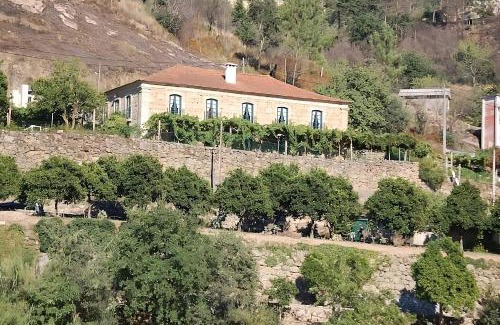 Oliveira do Douro House | Discover Casa de Rebolfe: 4-Star Retreat with Pool & Views