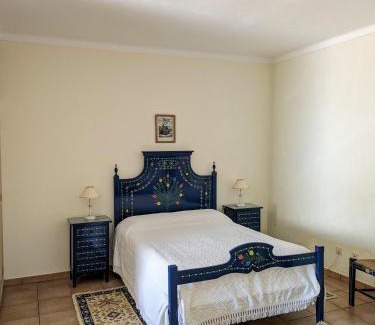 Vila de Frades House | Cozy Casa de São Cucufate with Pool and Ocean Views