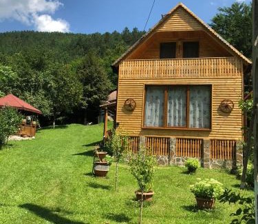 Stremt Cabin | Child-Friendly Getaway at Casa de Vacanta Geoagiu de Sus