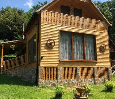 Stremt Cabin | Child-Friendly Getaway at Casa de Vacanta Geoagiu de Sus