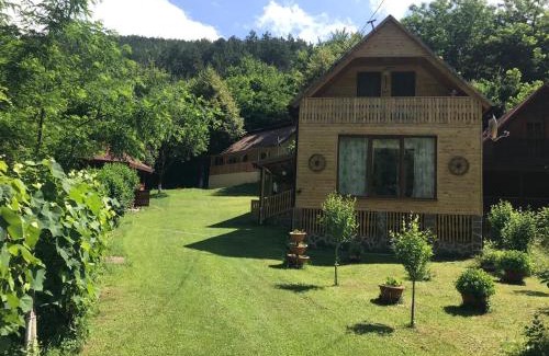 Stremt Cabin | Child-Friendly Getaway at Casa de Vacanta Geoagiu de Sus