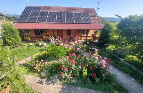 Calbor House | Pet-Friendly Casa de Vacanta in Tara Fagarasului - 9.1/10