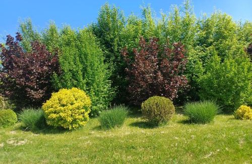Beclean House | Perfect Getaway at Casa de vacanta ROUA DIMINETII - Rated 9.6