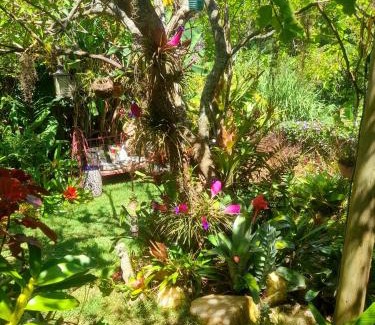 Petropolis House | Pet-Friendly Casa de Vidro: Rated 9.7/10 by Guests