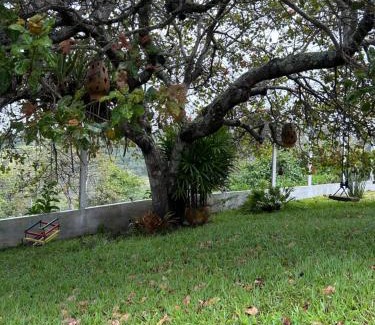 Saire House | Top-Rated Holiday Homes in Brazil - Pet & Child Friendly Stays