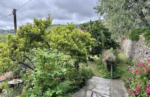 Camporotondo House | Family-Friendly Retreat at Casa degli Agrumi Awaits You