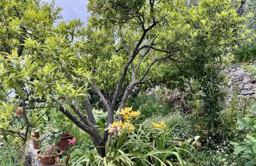 Camporotondo House | Family-Friendly Retreat at Casa degli Agrumi Awaits You