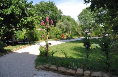 San Lorenzo in Campo House | Cozy Casa dei Ciliegi: Pet-Friendly Retreat with Green Space