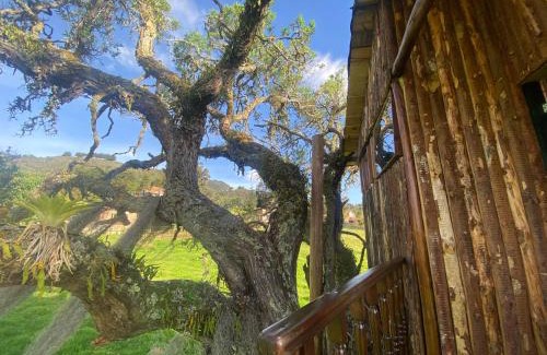 Sesquile House | Cozy Casa del árbol Amadeus in Beautiful Guatavita