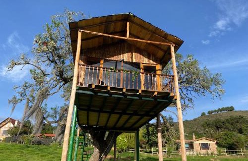 Sesquile House | Cozy Casa del árbol Amadeus in Beautiful Guatavita
