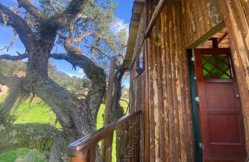 Sesquile House | Cozy Casa del árbol Amadeus in Beautiful Guatavita