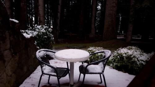 Villa La Angostura Apartment | Family-Friendly Casa Del Bosque Aparts with Pool & Spa