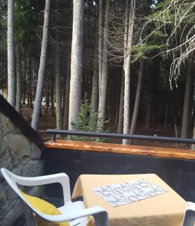 Villa La Angostura Apartment | Family-Friendly Casa Del Bosque Aparts with Pool & Spa
