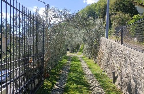 Oliveto Lario Apartment | Pet-Friendly Retreat at Casa delle Olive 1 - Rated 9.7/10