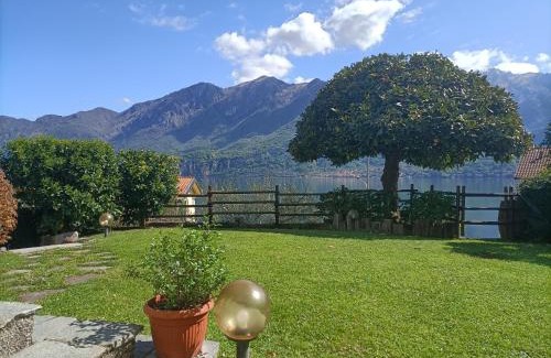 Oliveto Lario Apartment | Pet-Friendly Retreat at Casa delle Olive 1 - Rated 9.7/10