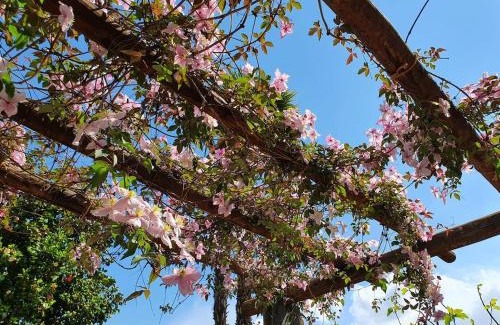Minusio Apartment | Idyllic Casa delle Vigne: Lake Views and Family-Friendly Oasis