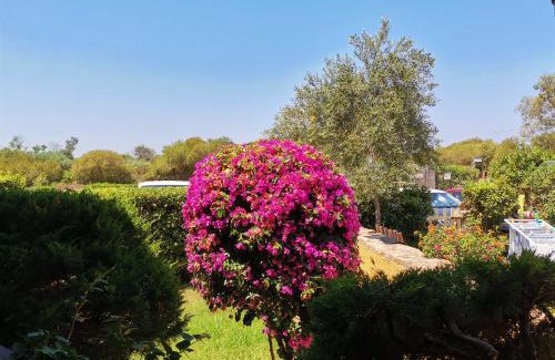 Porto Pollo Apartment | Casa di Giò - Delightful Garden Apartment with Ocean View
