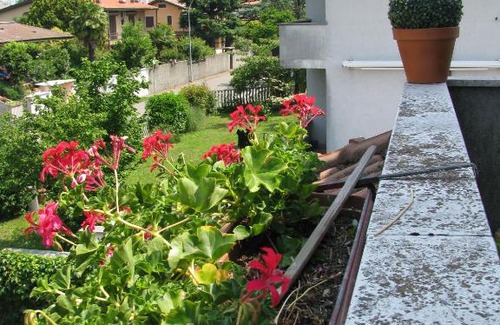 Parabiago House | Casa di Loretta: Pet-Friendly Retreat with Exceptional Reviews