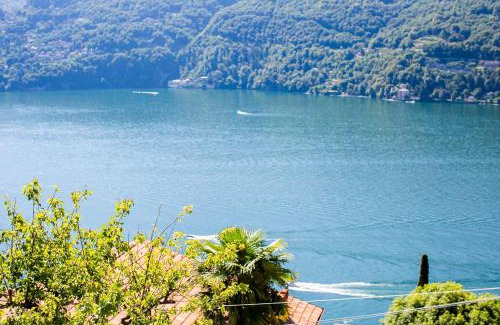 Carate Urio Apartment | Discover Casa di MOMO: Pet & Child-Friendly Retreat