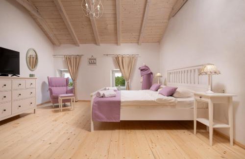 Bribir Apartment | Casa Di Nika private heated pool and jacu - Happy Rentals