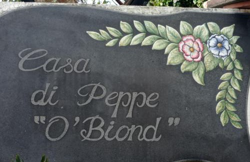 Procida House | Discover Casa di Peppe o'Biond: Pet-Friendly Comfort