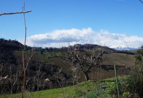 Montegiorgio House | Pet-Friendly Retreat at Casa di Tony – Rated 8.6/10!