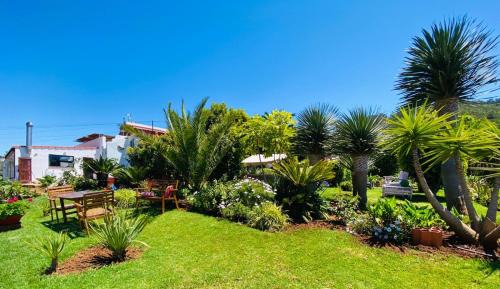 Tegueste Apartment | Family-Friendly Retreat at CASA DIEGO - Rated 9.5/10