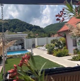 Axente Sever Villa | Discover Colt de rai: Pet-Friendly Getaway in Ardeal