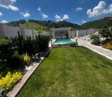Axente Sever Villa | Discover Colt de rai: Pet-Friendly Getaway in Ardeal