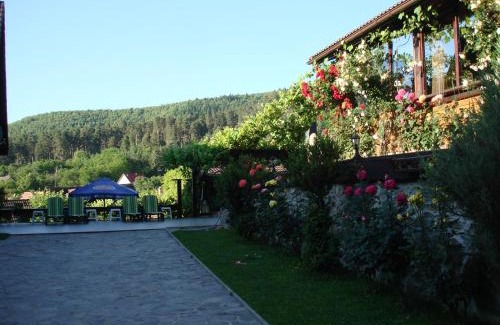 Saliste House | Experience Casa din Vale: 4-Star Oceanfront Retreat!