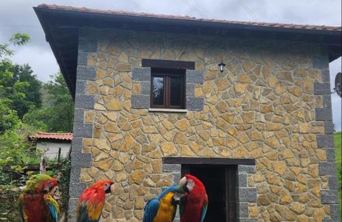 Santianes de Ola House | Family-Friendly Getaway at Casa Doña Lola with Pet Perks