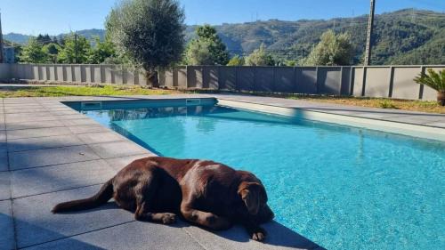 Valdosende House | Pet Friendly Casa do Alambique with Pool & Ocean Views