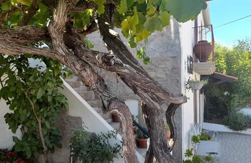 Fundao House | Exceptional Stay at Casa do Alfaiate - Child Friendly Oasis