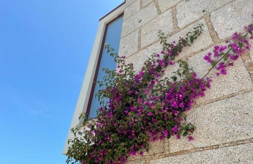 Freixo House | Casa do Arco: Guest Rated 9.8 with Oceanfront Pool